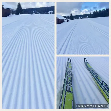 Ubytovani U Vydriho Mostu Séjour chez l'habitant Horska Kvilda