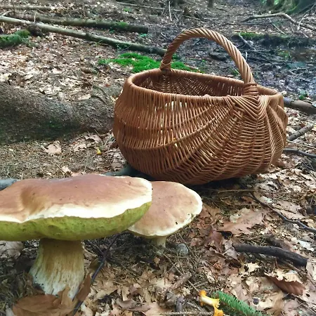 Ubytovani U Vydriho Mostu * Horska Kvilda