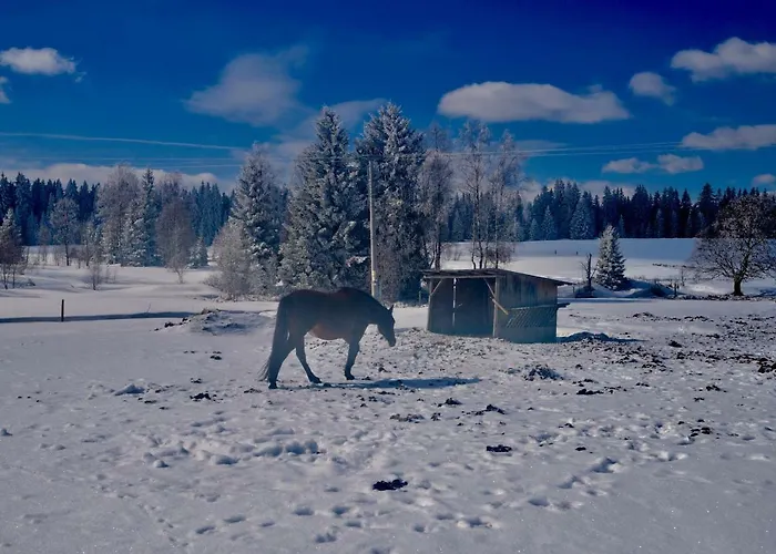 Séjour chez l'habitant Ubytovani U Vydriho Mostu *